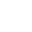 Iris icon
